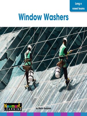 cover image of Window Washers